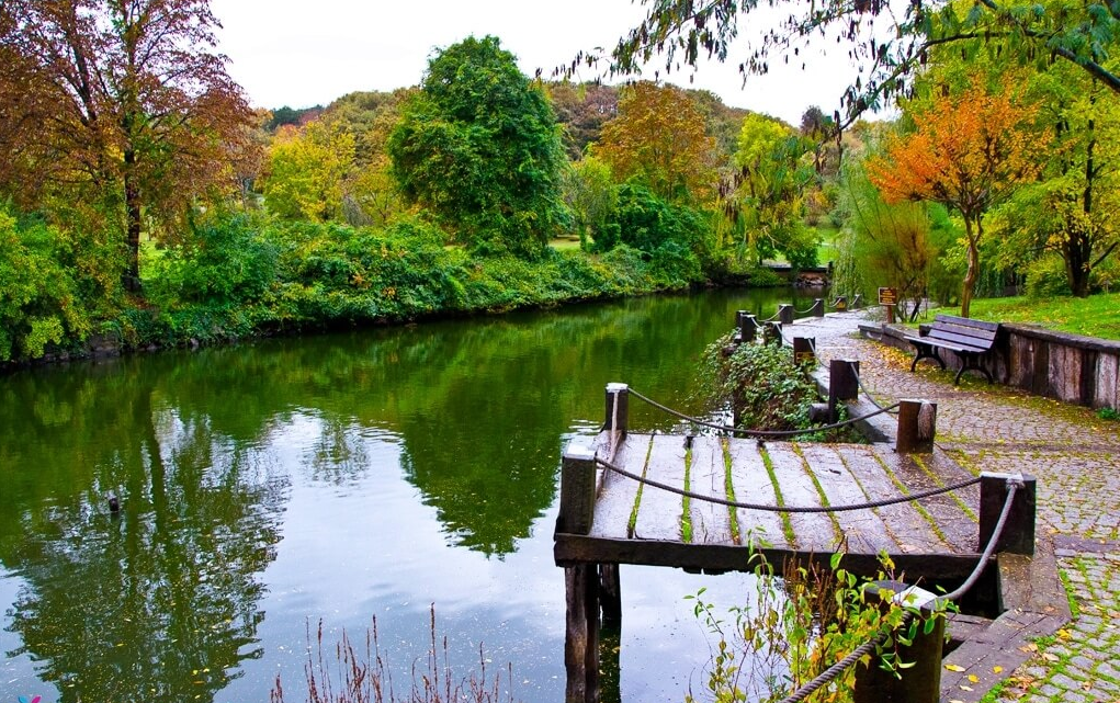 Atatürk Arboretumu mangal alanı