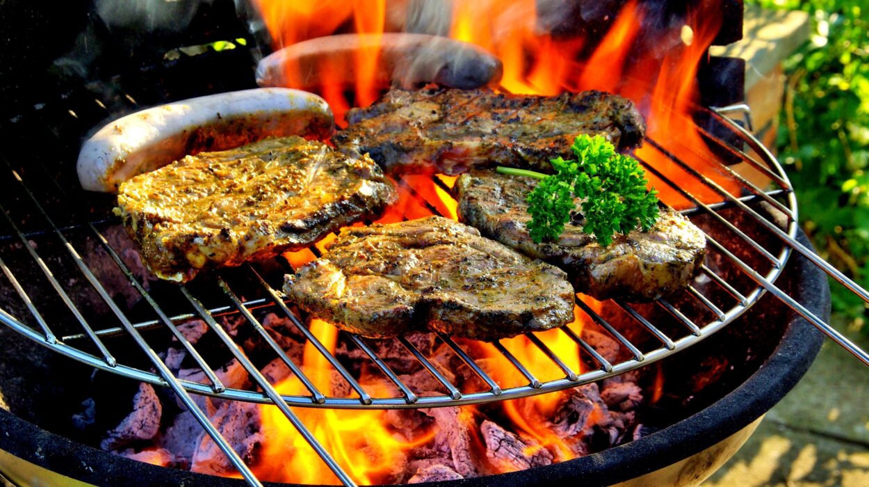 Barbekü Nedir