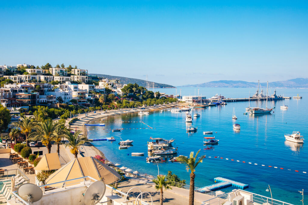Bodrum mangal kömürü toptan satış ve sevkiyatı