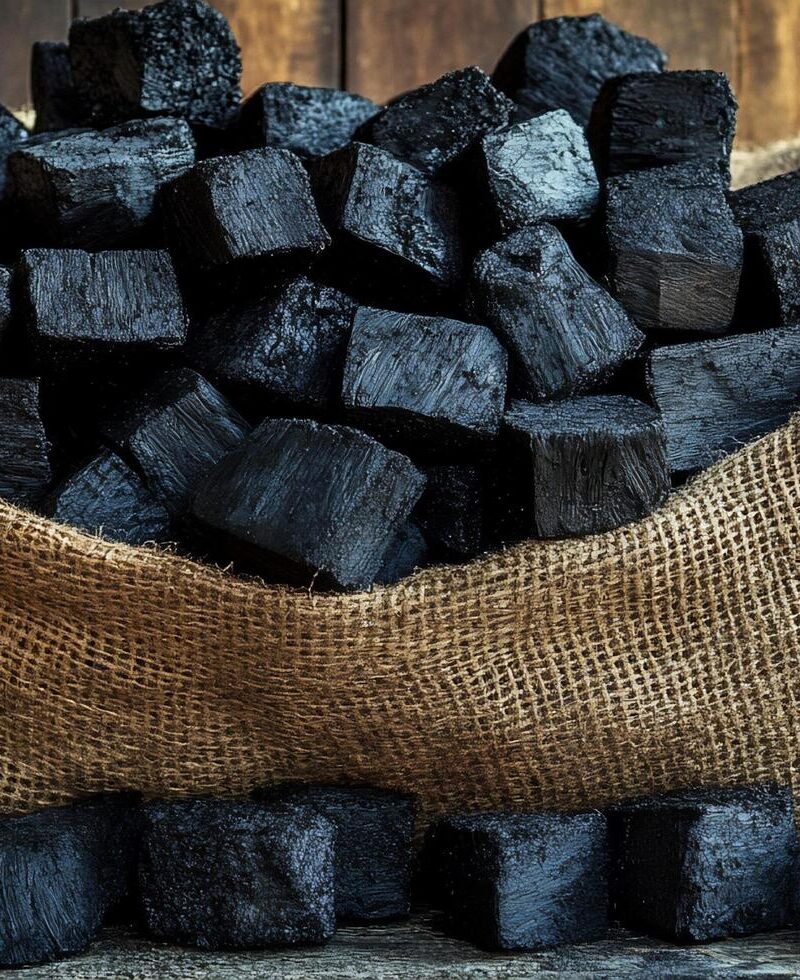 Çatalca Meşe Sıra Kömürü Yakın Çekim