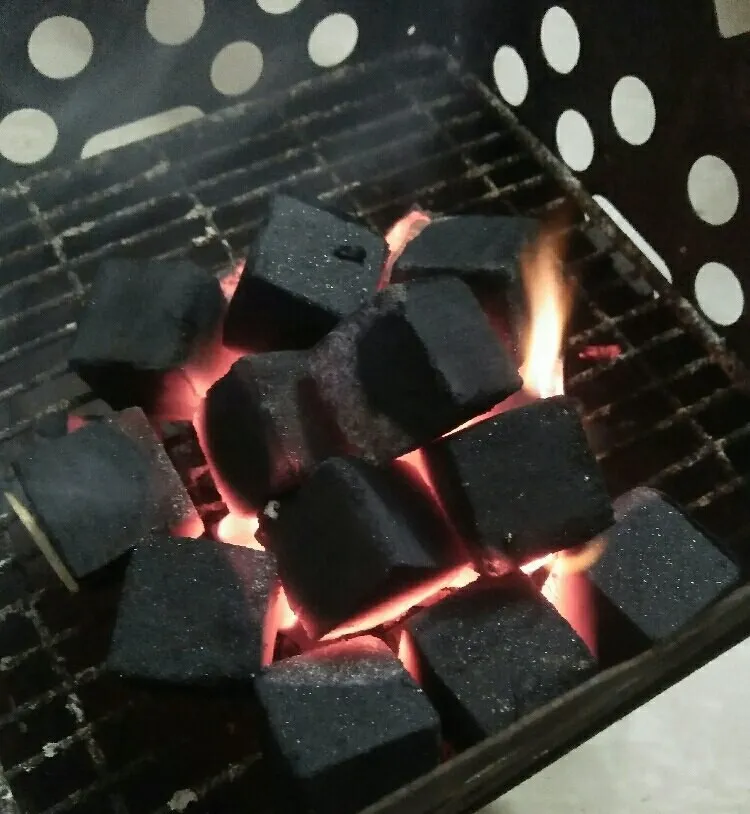 Nargile Lulesi Üzerinde Kömür Dizimi