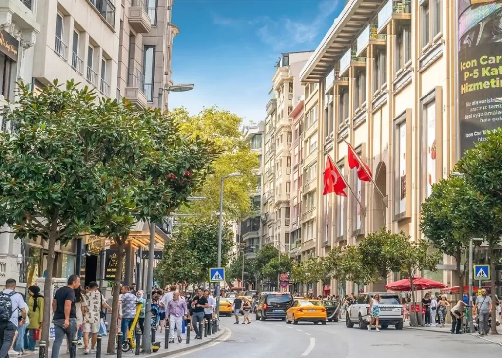Şişli mangal kömürü