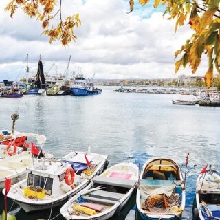 Tekirdağ Mangal Kömürü Hızlı Sevkiyat