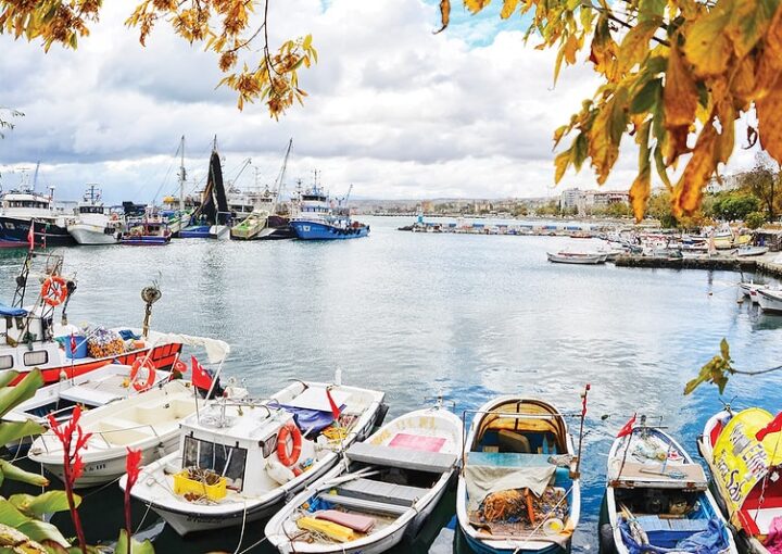 Tekirdağ Mangal Kömürü Hızlı Sevkiyat