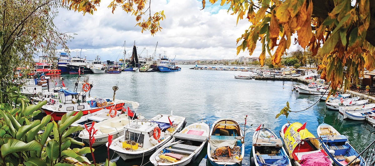 Tekirdağ Mangal Kömürü Hızlı Sevkiyat