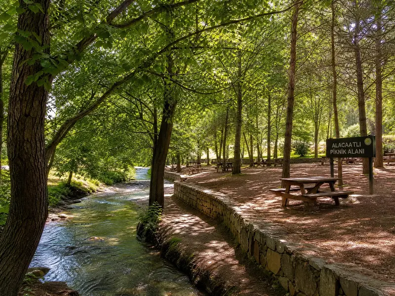 Alacaatlı piknik alanı Çubuk Ankara – Ücretsiz mangal yeri çam ormanı