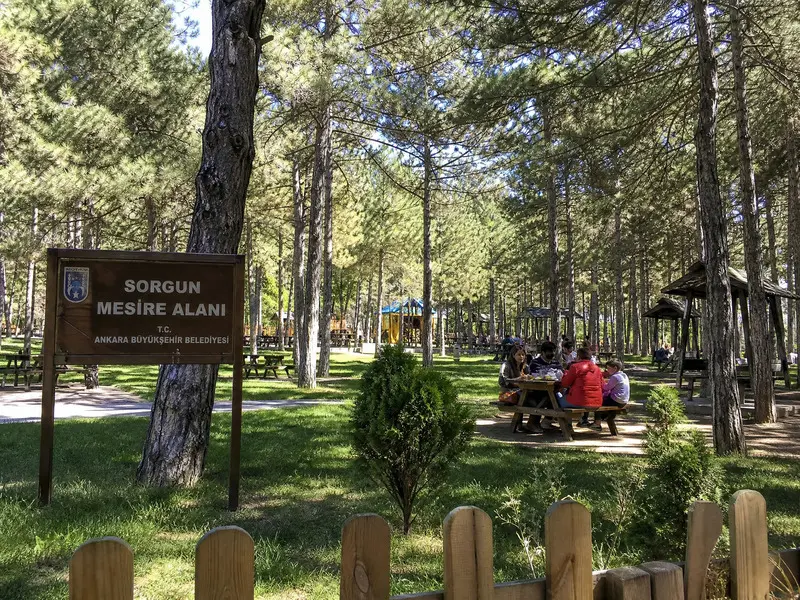 Sorgun Mesire Alanı Yozgat yakını – Geniş piknik alanı mangal yeri